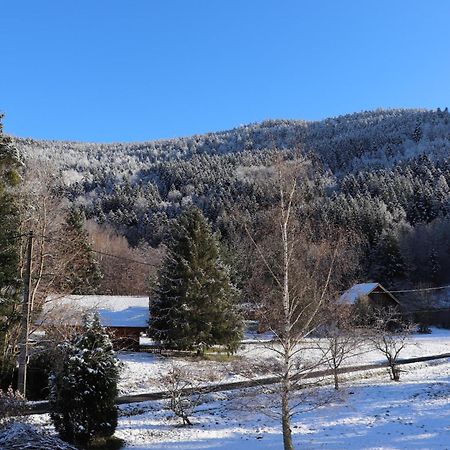 Gite Le Clos Des Vosges Ban-sur-Meurthe-Clefcy Kültér fotó