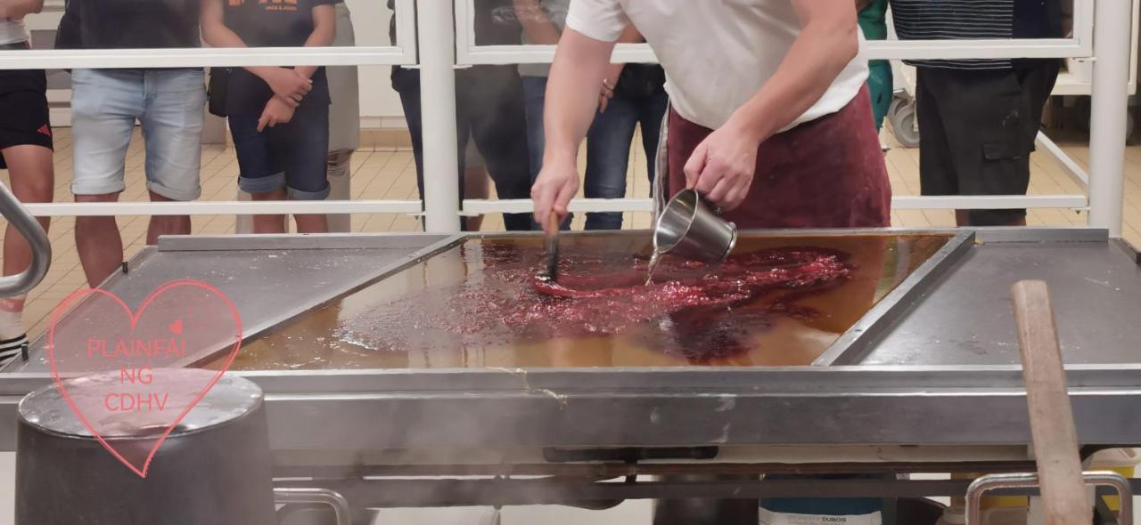 Gite Le Clos Des Vosges Ban-sur-Meurthe-Clefcy Kültér fotó