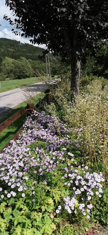 Gite Le Clos Des Vosges Ban-sur-Meurthe-Clefcy Kültér fotó