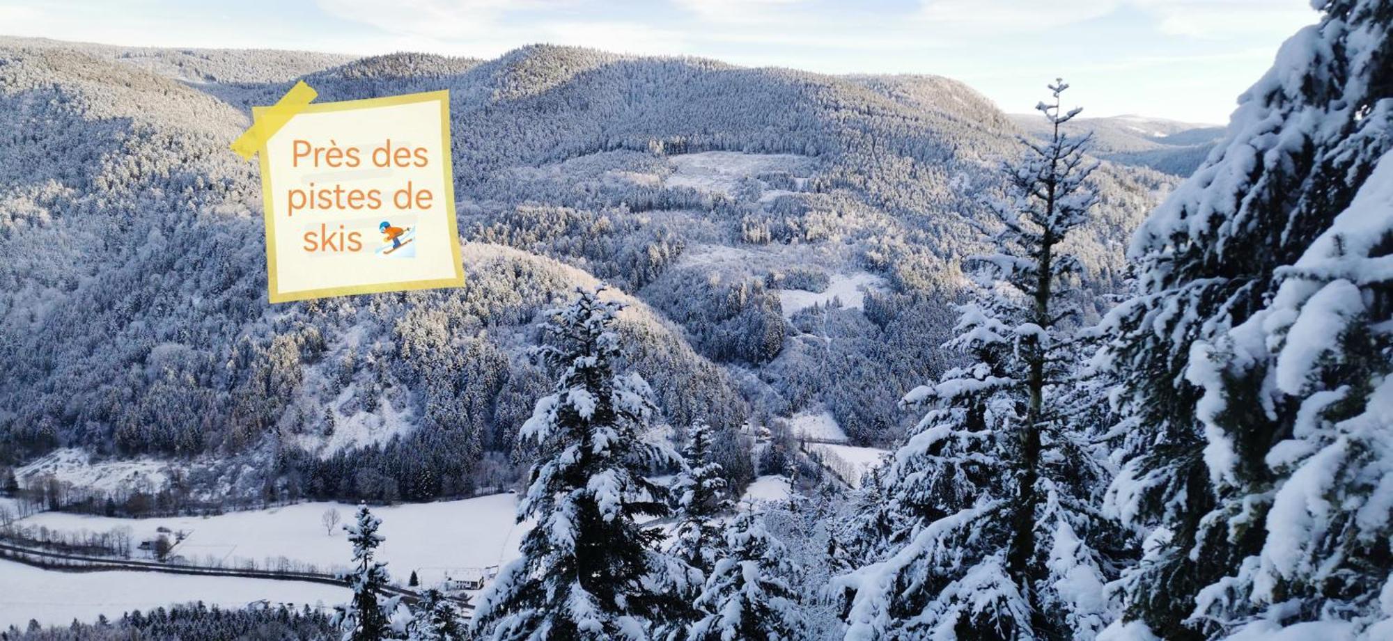 Gite Le Clos Des Vosges Ban-sur-Meurthe-Clefcy Kültér fotó