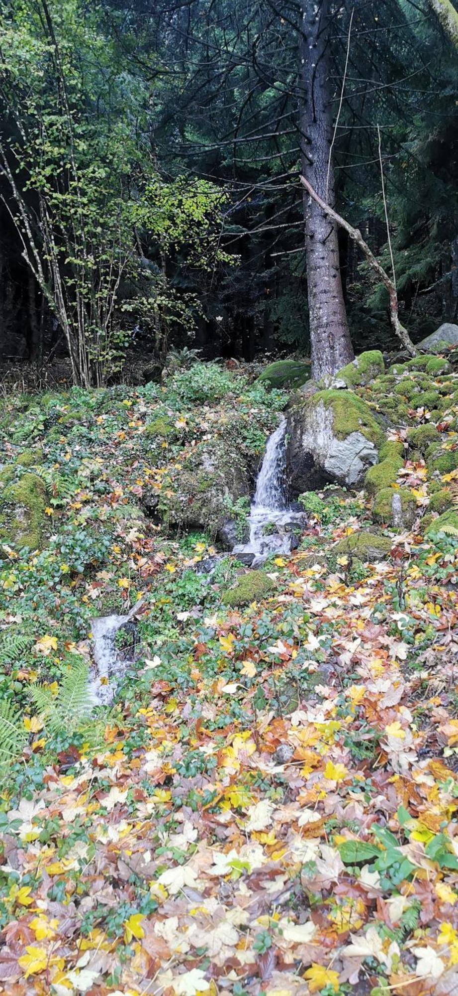Gite Le Clos Des Vosges Ban-sur-Meurthe-Clefcy Kültér fotó